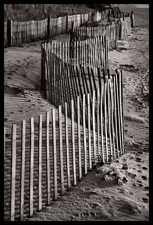Winding Dune Fence