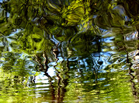 Water abstract