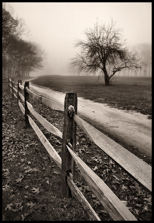 Old Wooden Fence