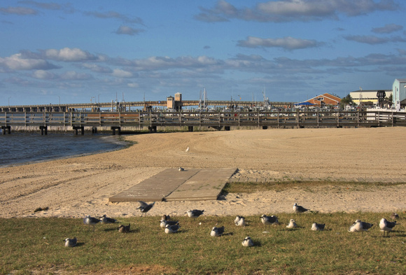 Somers Point Beach and Bridge