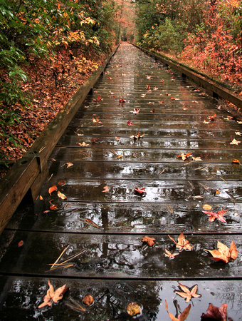 Wet walkway