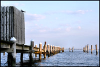 Pier at Kennedy Park